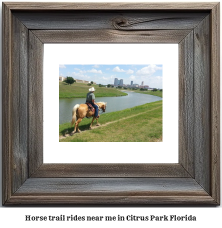 horse trail rides near me in Citrus Park, Florida